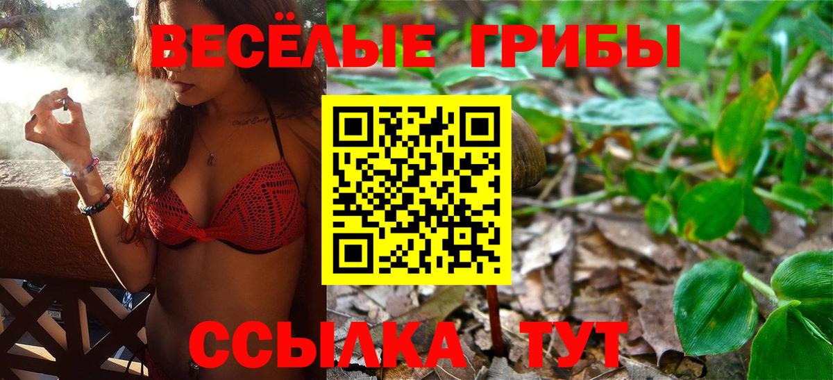 Псилоцибиновые грибы прущие грибы  Вход с VPN  Джанкой 